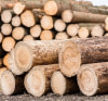 Exportation du bois